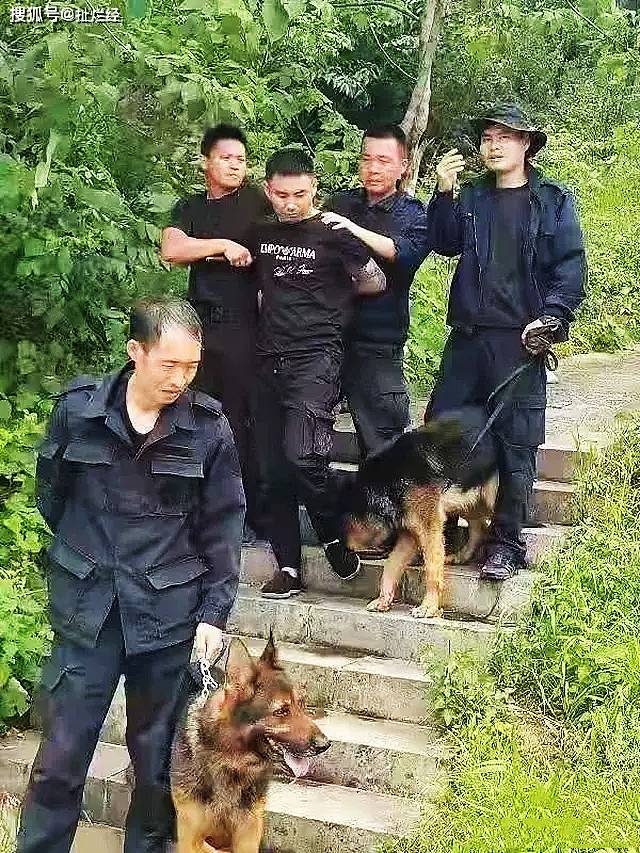 义乌警方通报，摆拍凝视独居女子视频事件揭秘