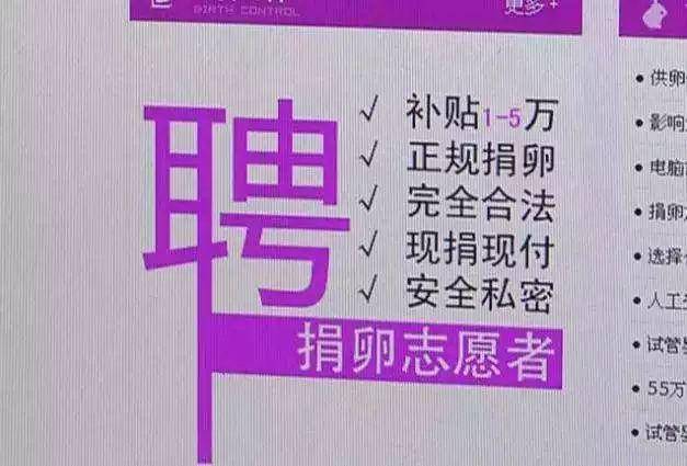 内地女子假学历报读港大获刑事件，警示与反思