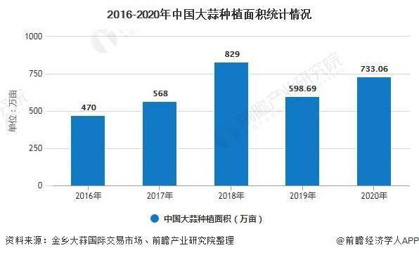 大蒜最新市场价格走势分析与趋势预测