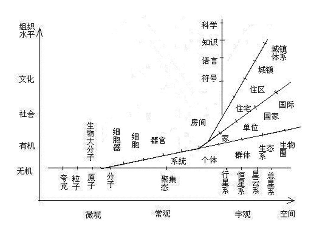 瓜沥镇最新规划详解，最佳选择解析说明