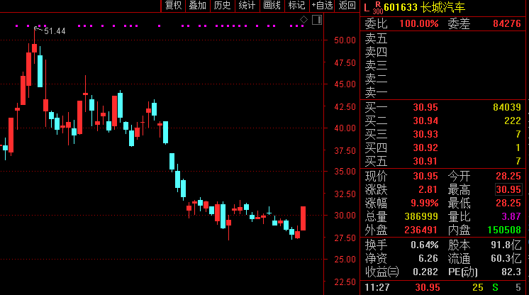 神州长城股票最新消息解析说明_限定版（最新动态及解析）