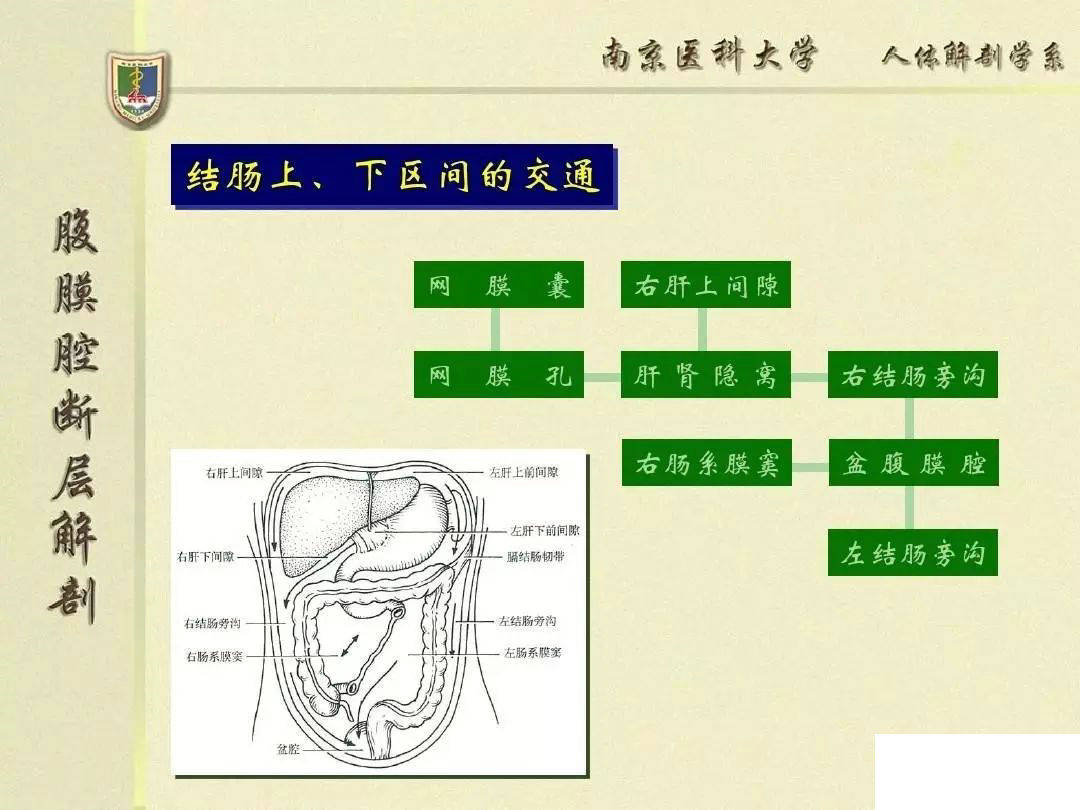 Gne肌病最新国外研究详解，定义与进展_ios33.61.34