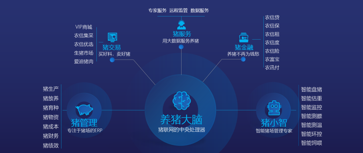 最新权力巅峰有声小说实地考察数据设计揭秘，苹果版全新升级73.18.62版本揭秘