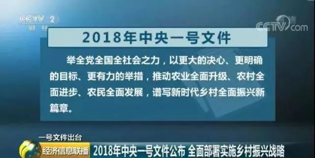 梅李最新招聘信息与可靠性执行策略揭秘，限定版细节曝光