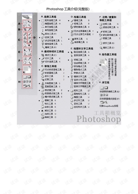 纪念版解析，中国人民解放军陆军第74集团军最新编制揭秘