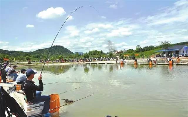 小湾钓鱼最新,钓鱼热门地点推荐