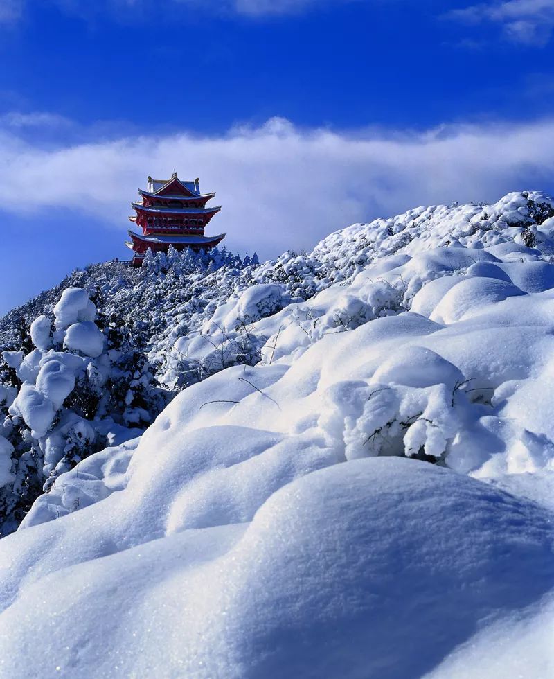 峨眉山最新雪情报道，26日雪景美不胜收