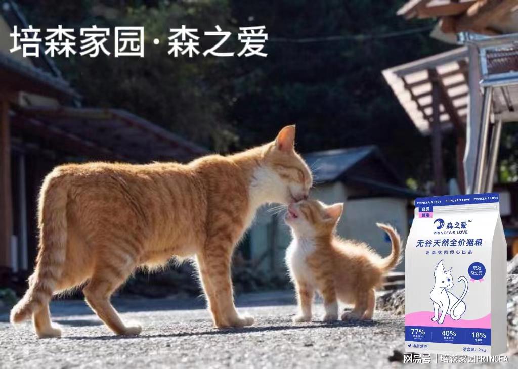 猫之盛宴盛大开启