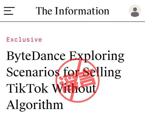 字节跳动TikTok 30日最新动态解析，聚焦发展观点，洞悉最新动态与趋势分析