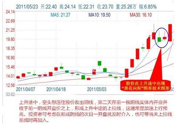 澳门天天好好彩特，定量解析解释法_数线程版8.47.367