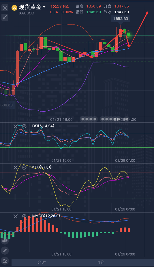 2024新澳正版免费资料大全，高速响应执行计划_战略版47.84.70