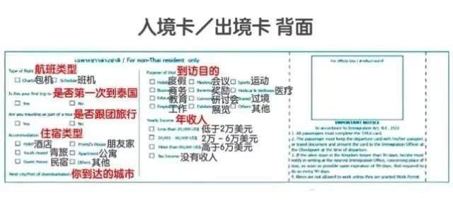 2024澳门资料大全正新版_入境航班最新,快速设计解答计划_摄像头9.24.54