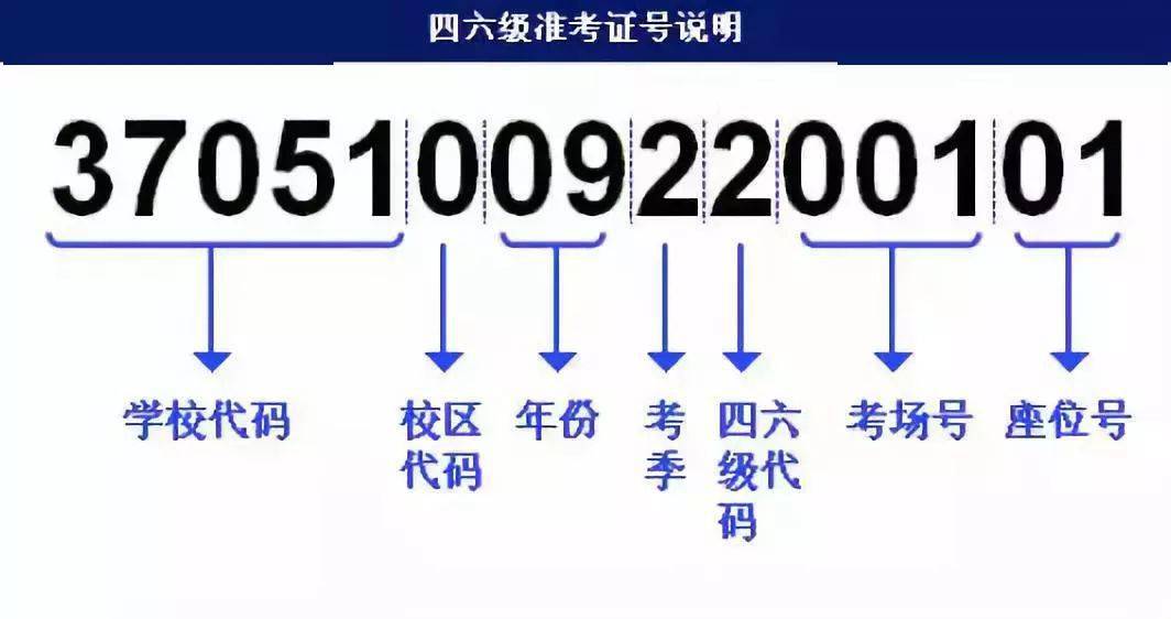 新澳门精准资料免费,逻辑探讨解答解释策略_VIP14.577