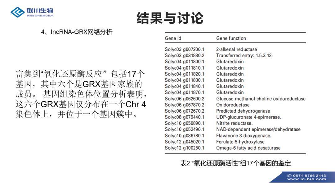 2024澳门资料免费大全,鉴别解答落实解释_终止集55.986