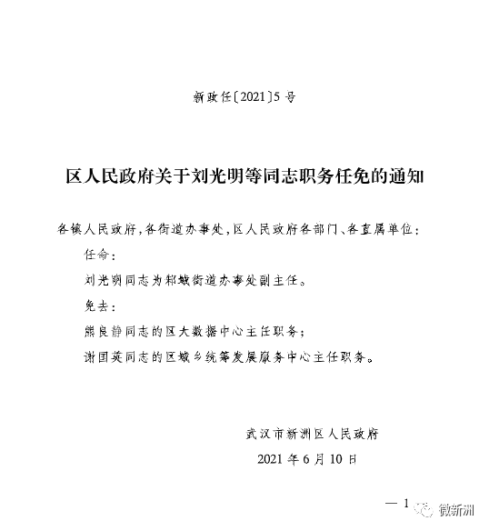 宜阳人事任免新篇章，张霞的新角色与温馨的日常变迁