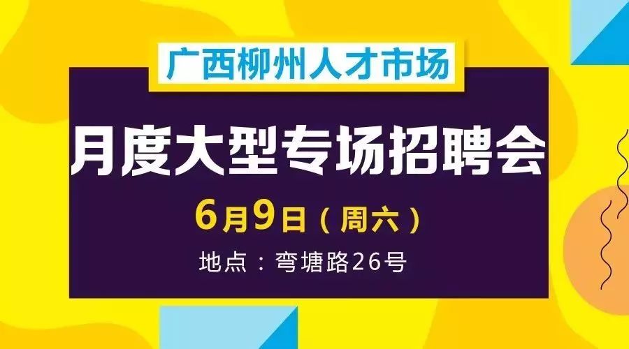 11月4日成都幼师招聘最新消息深度解读与聚焦