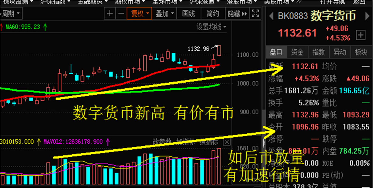 冷板价格背后的暖心故事，今日最新报价与板材之旅