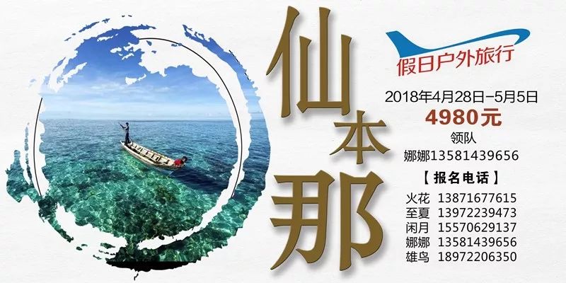 探寻自然秘境，最新启程的259之旅，重拾心灵平静