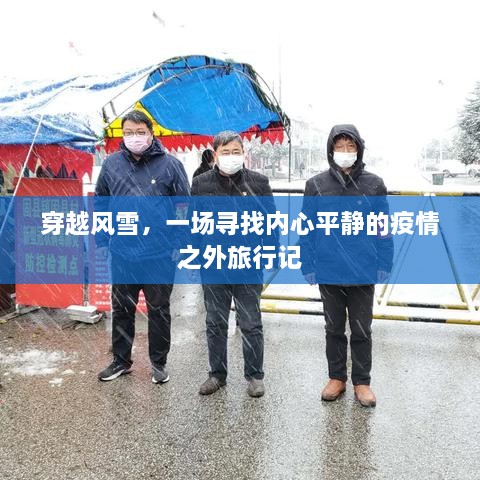 穿越风雪，心灵之旅的宁静寻觅