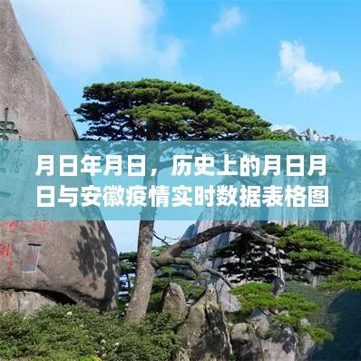 安徽疫情实时数据表格图与历史上的月日月日解析