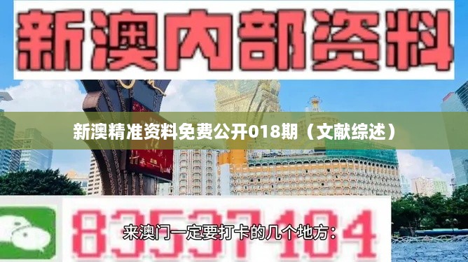 新澳精准资料免费公开018期（文献综述）