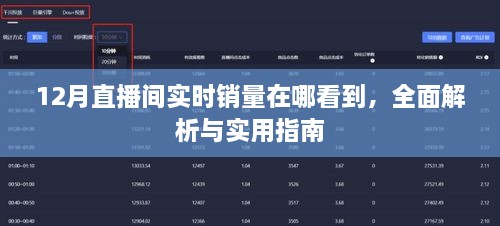 12月直播间实时销量查看指南，全面解析与实用指南