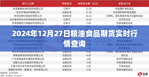 2024年粮油食品期货行情实时更新，最新报价查询