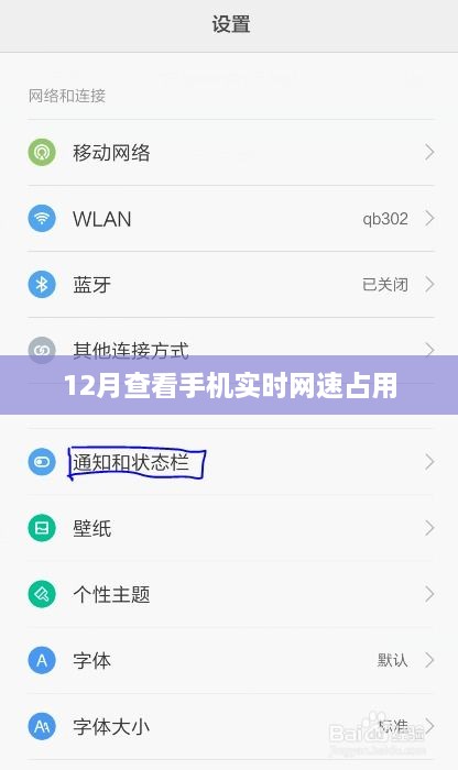12月手机实时网速占用大解析