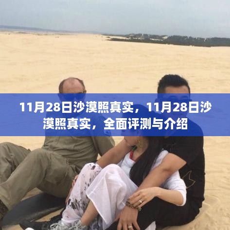 11月28日沙漠照真实，全面评测与介绍