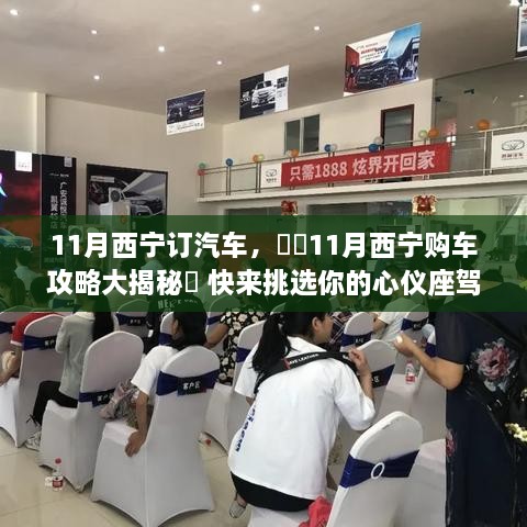 11月西宁购车攻略，挑选心仪座驾的秘籍大揭秘