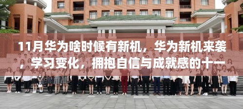 华为新机十一月来袭，励志之旅，拥抱自信与成就感的学习变化