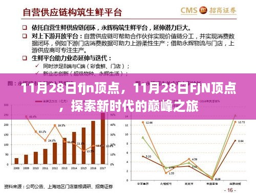 探索新时代巅峰之旅，揭秘11月28日FJN顶点