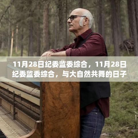 11月28日纪委监委综合，探寻内心平静的旅程，与大自然共舞的日子