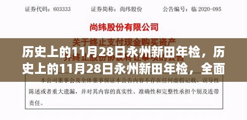 历史上的永州新田年检全面评测与介绍，深入了解11月28日这一天的重要性