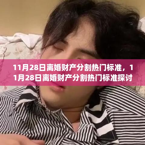 11月28日离婚财产分割热门标准详解，探讨与观点分析