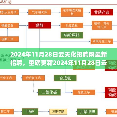 云天化招聘网最新招聘信息更新，理想职位等你来挑战！