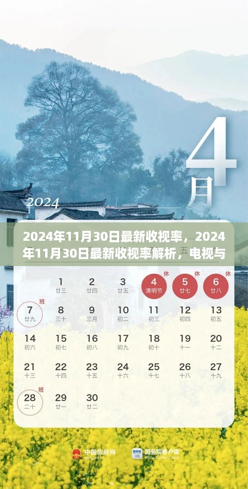 2024年11月30日最新收视率解析，电视与数字平台的竞争与合作态势