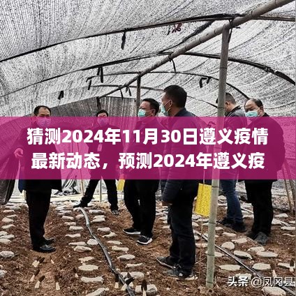 遵义疫情未来趋势分析与应对策略，预测新动态及应对策略（2024年最新动态）