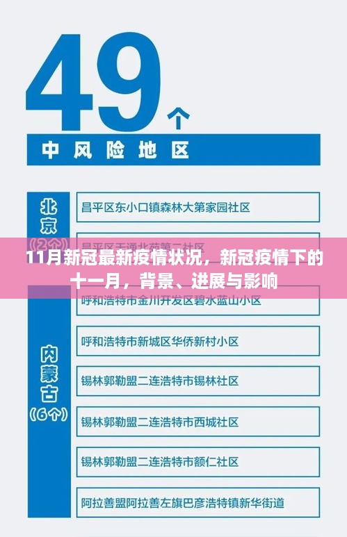 新冠疫情下的十一月，背景、进展与影响分析报告