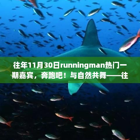 往年11月30日Running Man精彩一期，与自然共舞，奇妙探险之旅！