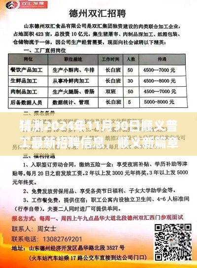 2024年顺义普工最新招聘预测，明日职场新篇章与我们的故事