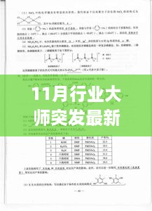 最新评测与介绍，11月行业大师突发答案