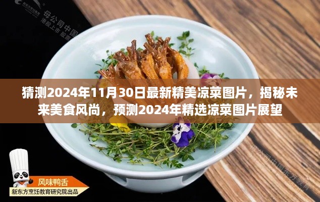 揭秘未来美食风尚，精选凉菜图片展望 2024年最新预测与赏析