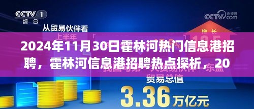 霍林河信息港招聘热点探析，2024年11月30日的视角