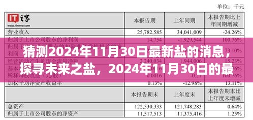 探寻未来之盐，揭秘2024年11月30日最新盐讯揭秘