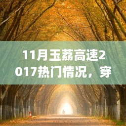 玉荔高速金秋十一月独特地位回顾，热门事件中的历史与进展（2017年）