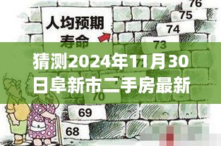 2024年11月 第20页