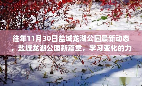 盐城龙湖公园新篇章，学习变化的力量，赋予自信与成就感——最新动态揭秘