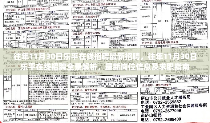 乐平在线招聘全景解析，最新岗位信息、求职指南及往年招聘回顾（最新招聘时间）