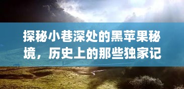 2024年12月1日 第36页